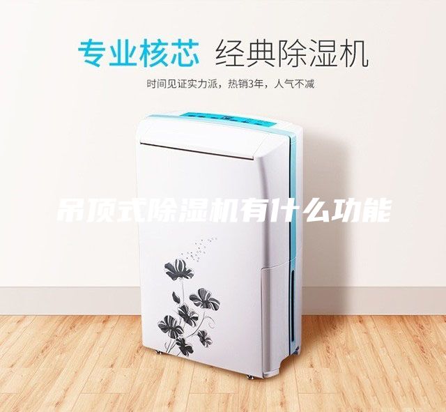吊頂式除濕機(jī)有什么功能