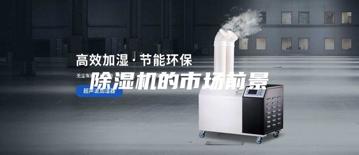 除濕機(jī)的市場(chǎng)前景