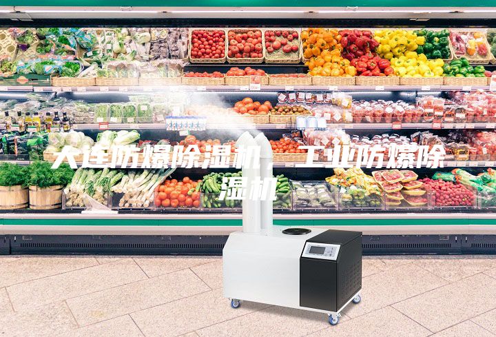 大連防爆除濕機，工業(yè)防爆除濕機