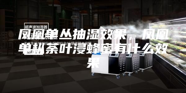 鳳凰單叢抽濕效果,鳳凰單樅荼葉浸蜂蜜有什么效果