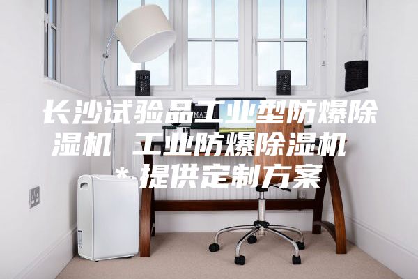 長(zhǎng)沙試驗(yàn)品工業(yè)型防爆除濕機(jī) 工業(yè)防爆除濕機(jī) ＊提供定制方案
