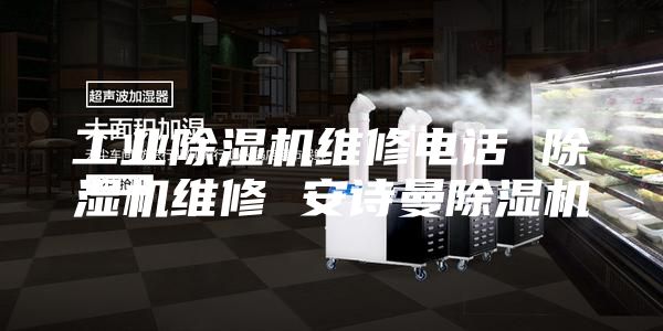 工業(yè)除濕機(jī)維修電話 除濕機(jī)維修 安詩曼除濕機(jī)