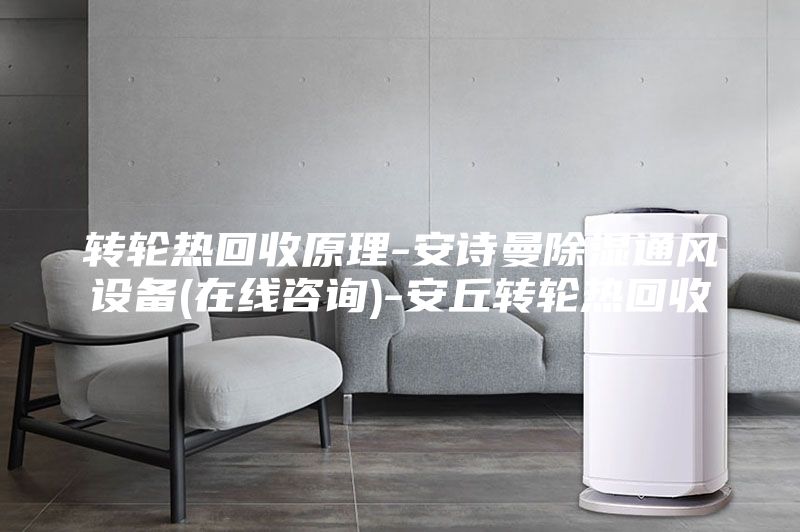 轉輪熱回收原理-安詩曼除濕通風設備(在線咨詢)-安丘轉輪熱回收