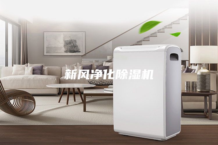 新風(fēng)凈化除濕機(jī)