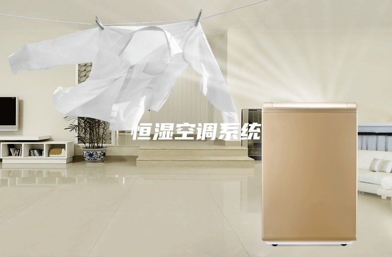 恒濕空調(diào)系統(tǒng)