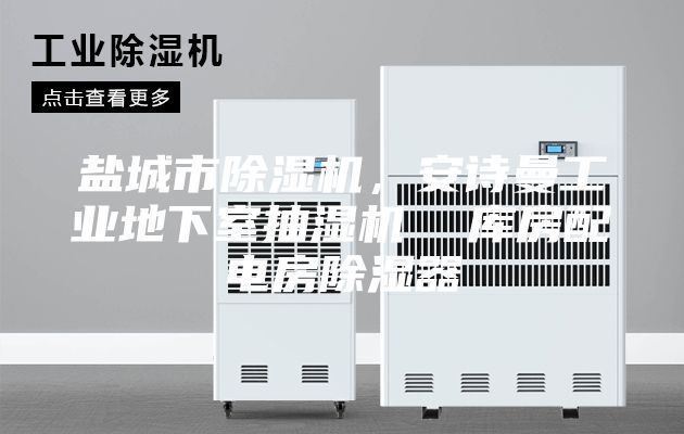 鹽城市除濕機，安詩曼工業(yè)地下室抽濕機  庫房配電房除濕器