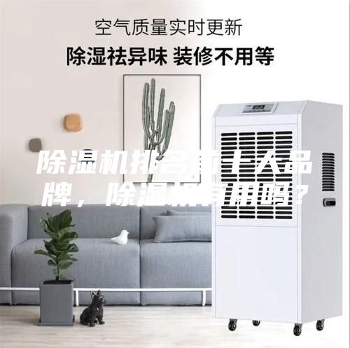除濕機排名前十大品牌，除濕機有用嗎？
