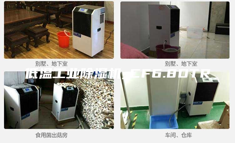 低溫工業除濕機_CF6.8DTR