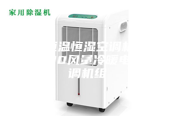 臨沂恒溫恒濕空調機組 3000風量冷暖電輔空調機組