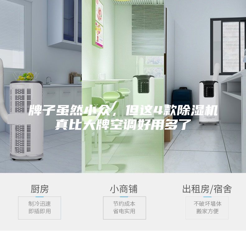 牌子雖然小眾，但這4款除濕機真比大牌空調好用多了