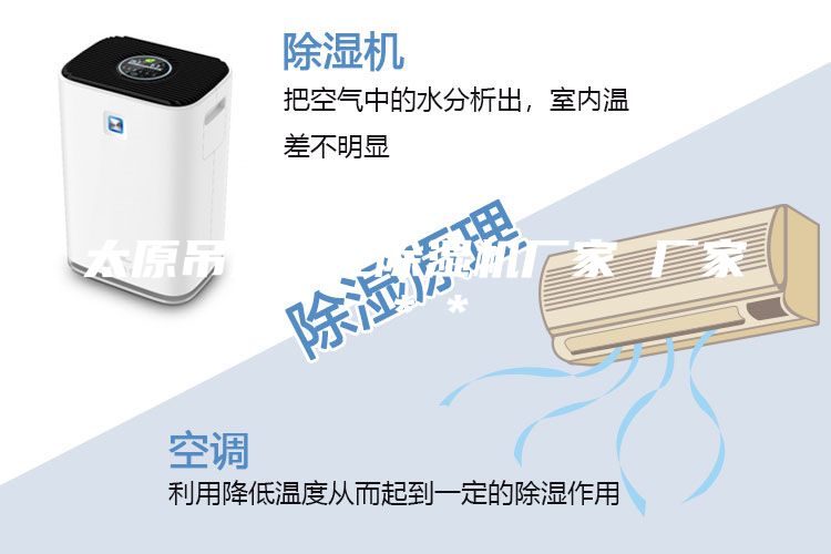 太原吊頂工業(yè)除濕機(jī)廠家 廠家**