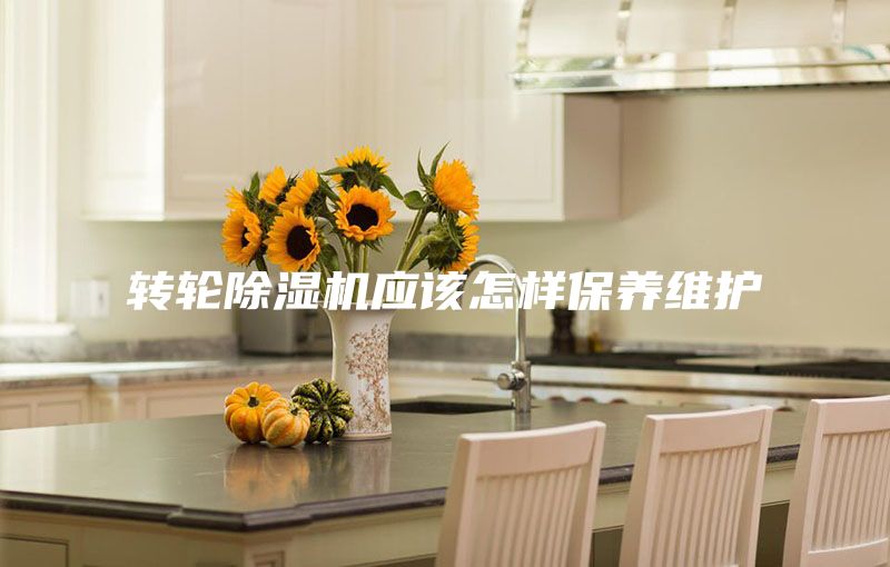 轉(zhuǎn)輪除濕機應(yīng)該怎樣保養(yǎng)維護