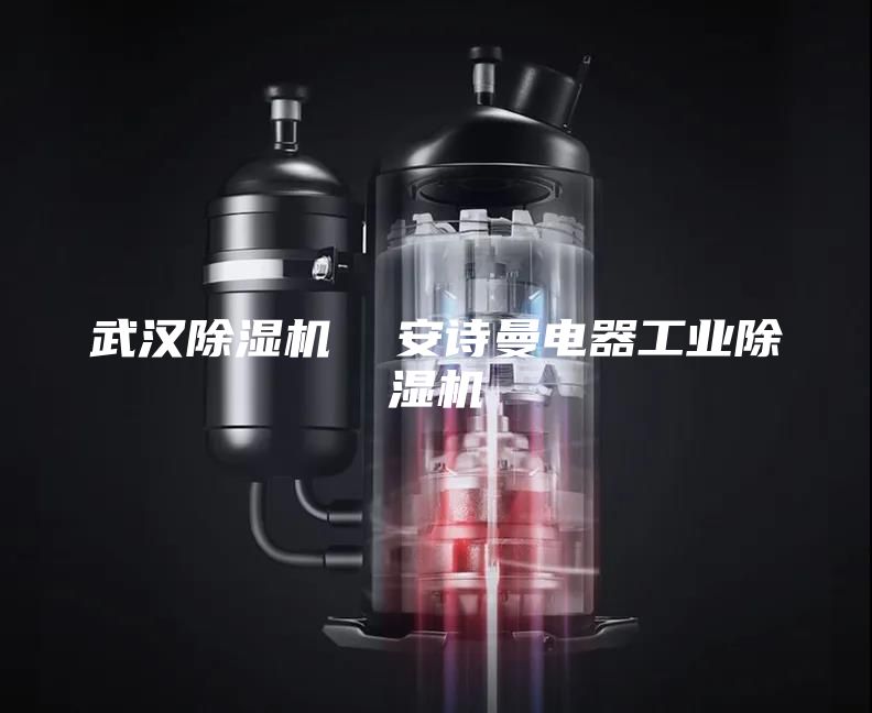 武漢除濕機 安詩曼電器工業(yè)除濕機
