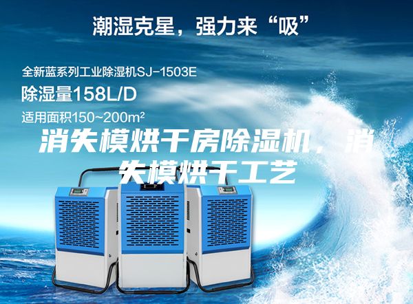 消失模烘干房除濕機,消失模烘干工藝