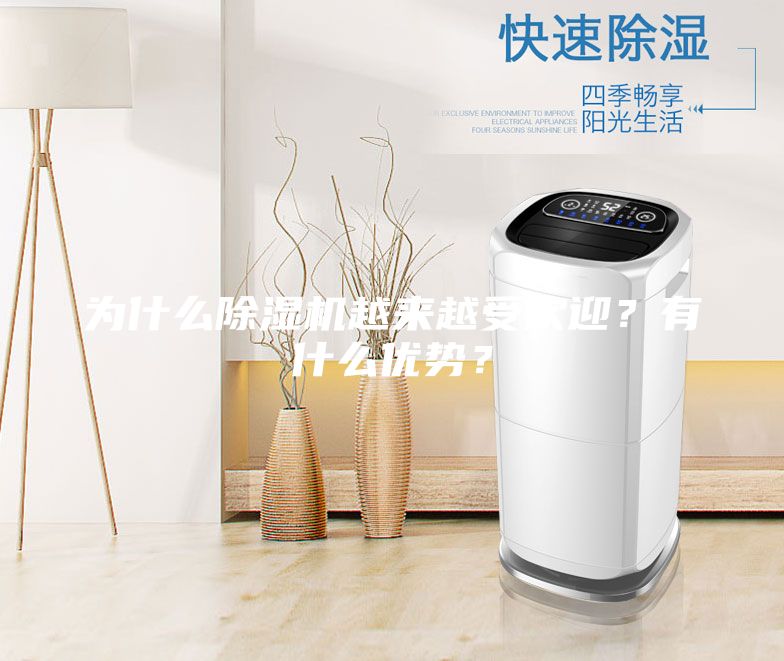 為什么除濕機(jī)越來越受歡迎?有什么優(yōu)勢?