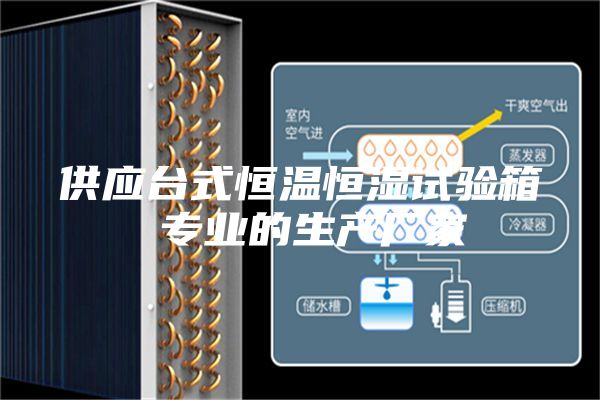 供應(yīng)臺(tái)式恒溫恒濕試驗(yàn)箱 專業(yè)的生產(chǎn)廠家