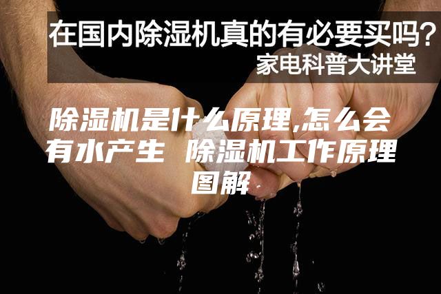除濕機(jī)是什么原理,怎么會(huì)有水產(chǎn)生 除濕機(jī)工作原理圖解