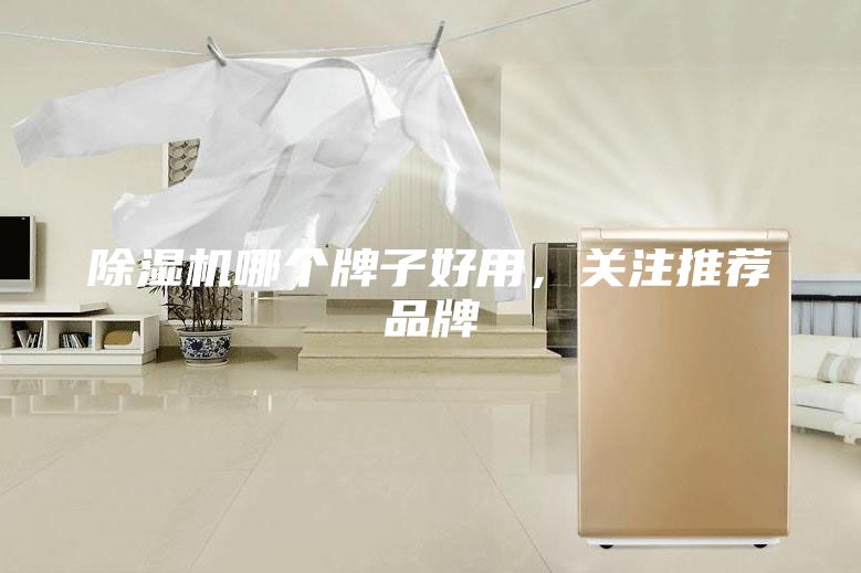 除濕機哪個牌子好用，關注推薦品牌