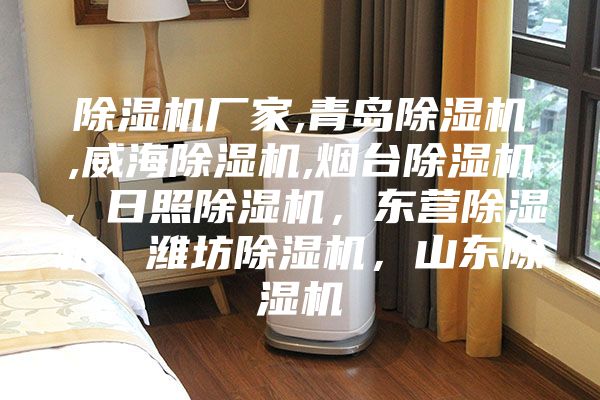 除濕機(jī)廠家,青島除濕機(jī),威海除濕機(jī),煙臺除濕機(jī),日照除濕機(jī),東營除濕機(jī),濰坊除濕機(jī),山東除濕機(jī)