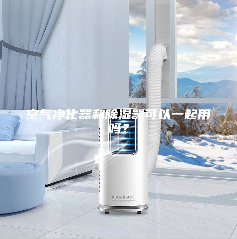 空氣凈化器和除濕器可以一起用嗎?