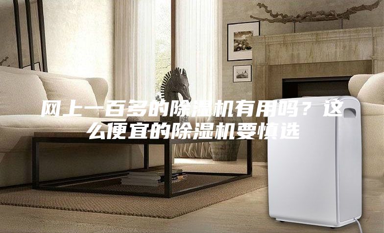 網(wǎng)上一百多的除濕機有用嗎?這么便宜的除濕機要慎選