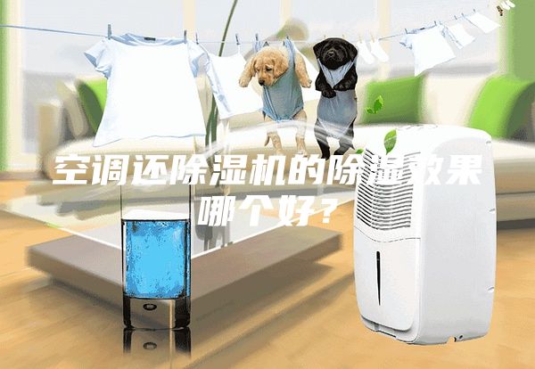 空調還除濕機的除濕效果哪個好?