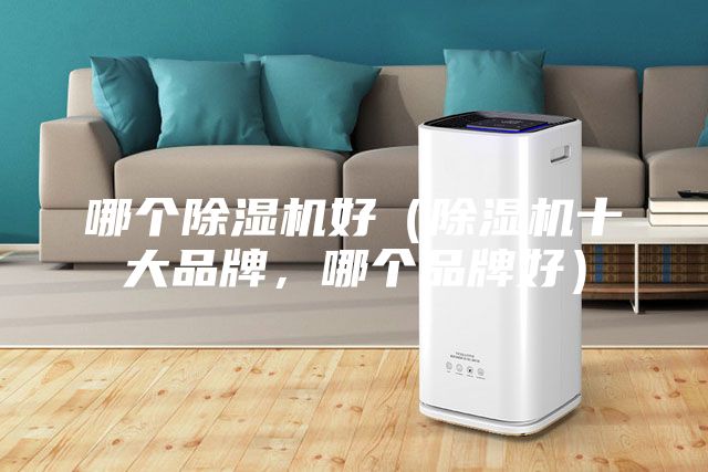 哪個(gè)除濕機(jī)好（除濕機(jī)十大品牌，哪個(gè)品牌好）