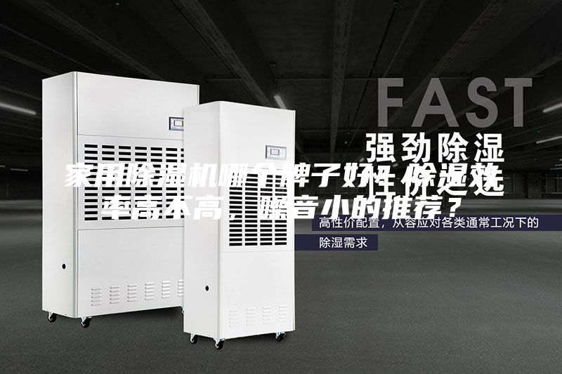 家用除濕機(jī)哪個(gè)牌子好？除濕效率高不高，噪音小的推薦？