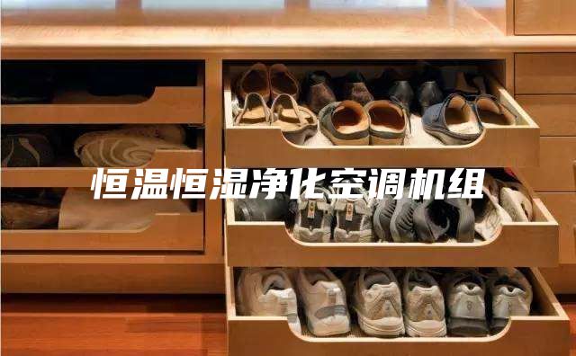恒溫恒濕凈化空調(diào)機(jī)組