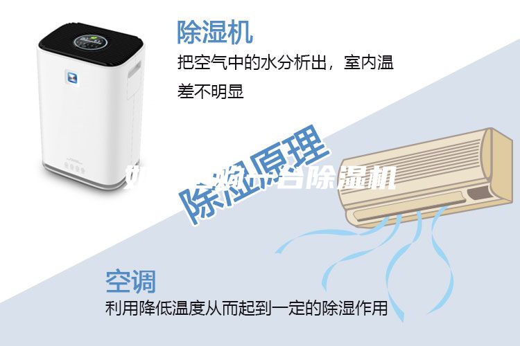 如何選購一臺除濕機(jī)