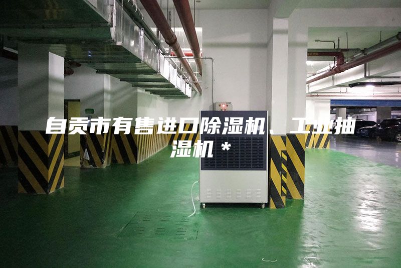 自貢市有售進(jìn)口除濕機(jī)、工業(yè)抽濕機(jī)＊