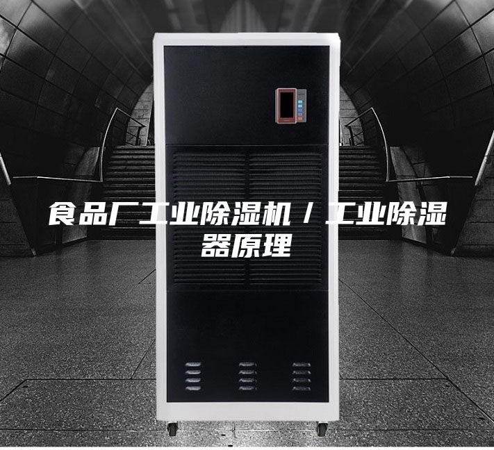 食品廠(chǎng)工業(yè)除濕機(jī)/工業(yè)除濕器原理