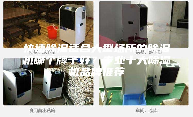 快速除濕適合大型場(chǎng)所的除濕機(jī)哪個(gè)牌子好？專業(yè)十大除濕機(jī)品牌推薦