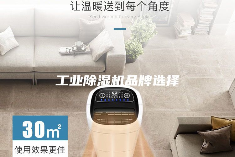 工業除濕機品牌選擇