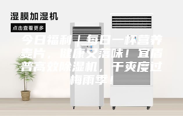 今日福利｜每日一杯營(yíng)養(yǎng)麥片，健康又落味！宜盾普高效除濕機(jī)，干爽度過(guò)梅雨季！