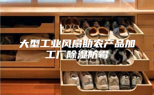 大型工業(yè)風扇助農產品加工廠除濕防霉
