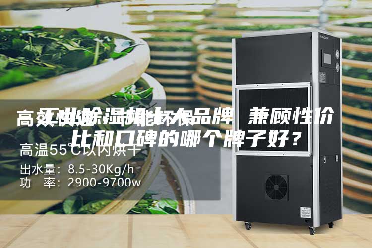 工業除濕機十大品牌 兼顧性價比和口碑的哪個牌子好?