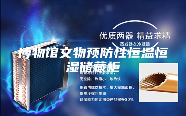 博物館文物預(yù)防性恒溫恒濕儲(chǔ)藏柜