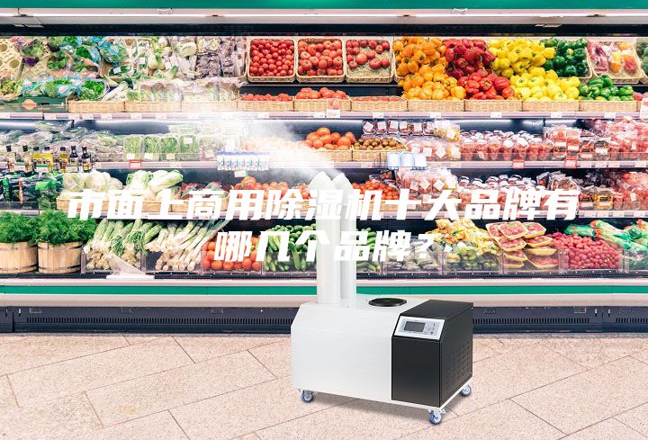 市面上商用除濕機(jī)十大品牌有哪幾個品牌？