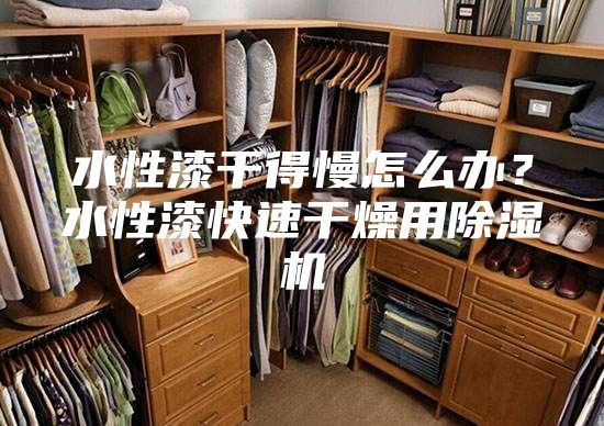 水性漆干得慢怎么辦？水性漆快速干燥用除濕機