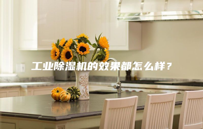 工業除濕機的效果都怎么樣？