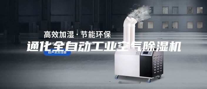 通化全自動(dòng)工業(yè)空氣除濕機(jī)