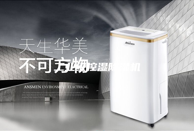 工業(yè)級控濕除濕機(jī)