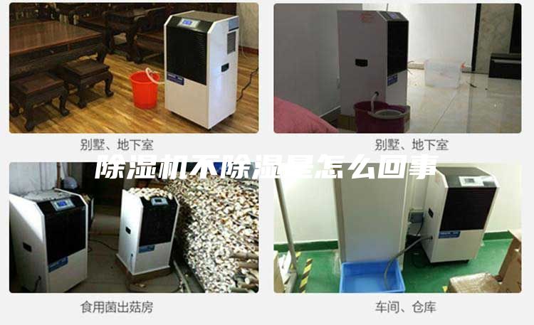 除濕機不除濕是怎么回事