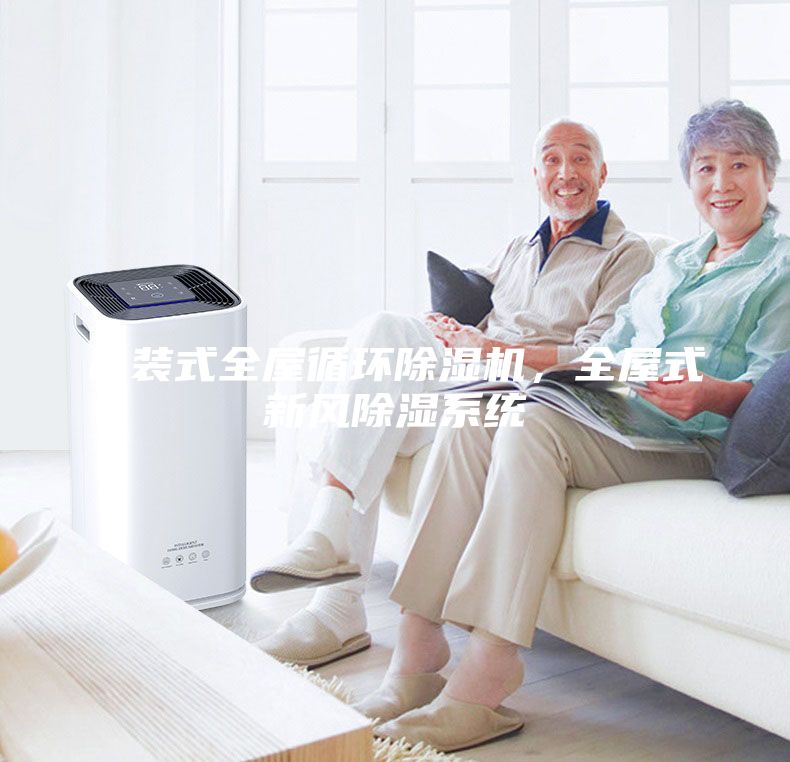吊裝式全屋循環(huán)除濕機，全屋式新風除濕系統(tǒng)