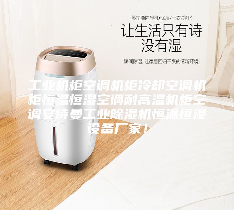 工業(yè)機柜空調(diào)機柜冷卻空調(diào)機柜恒溫恒濕空調(diào)耐高溫機柜空調(diào)安詩曼工業(yè)除濕機恒溫恒濕設(shè)備廠家！