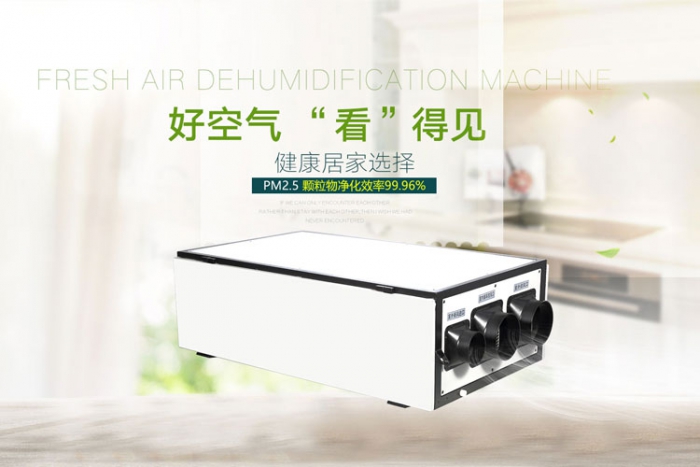 悶熱潮濕真難受,除濕機一鍵去濕