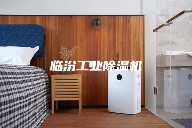 臨汾工業(yè)除濕機