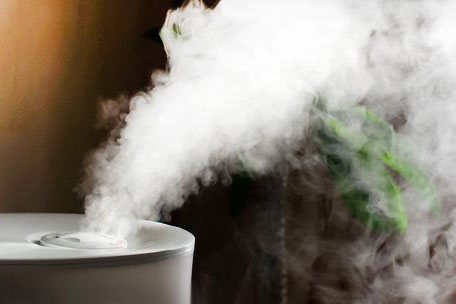 對抗梅雨季節潮濕，家用除濕機為您解決煩惱！