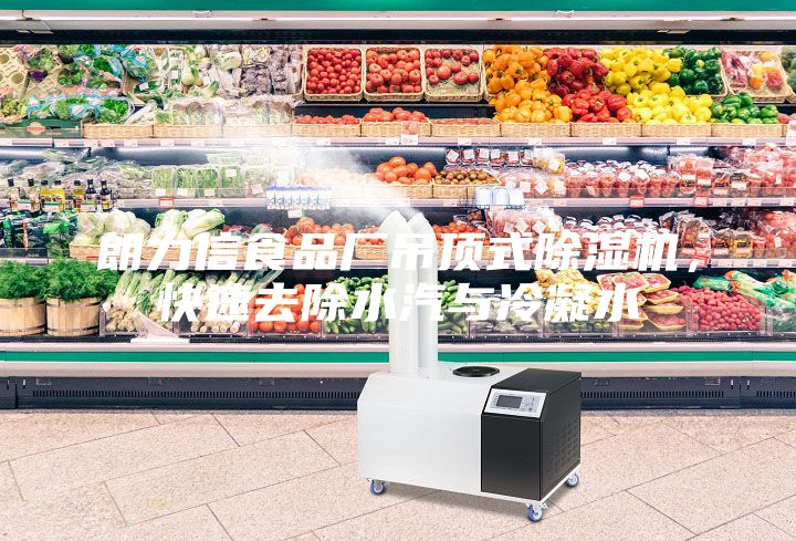 朗力信食品廠吊頂式除濕機，快速去除水汽與冷凝水